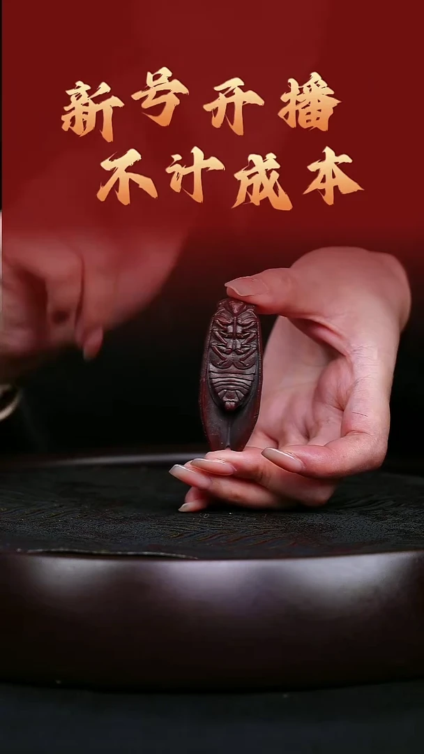 茶壶紫砂宜兴紫砂知了