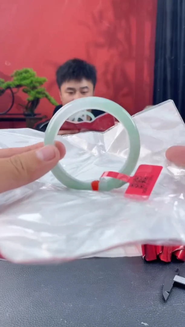 未镶嵌手镯翡翠15