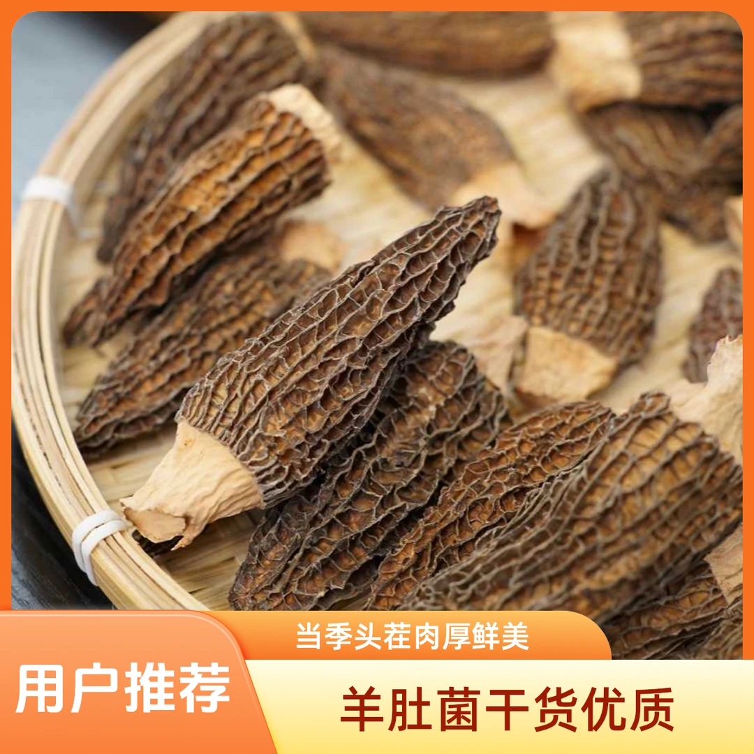 【苗乡绿源】当季头茬精品羊肚菌大个肉厚肥美干货煲汤包食材5-7