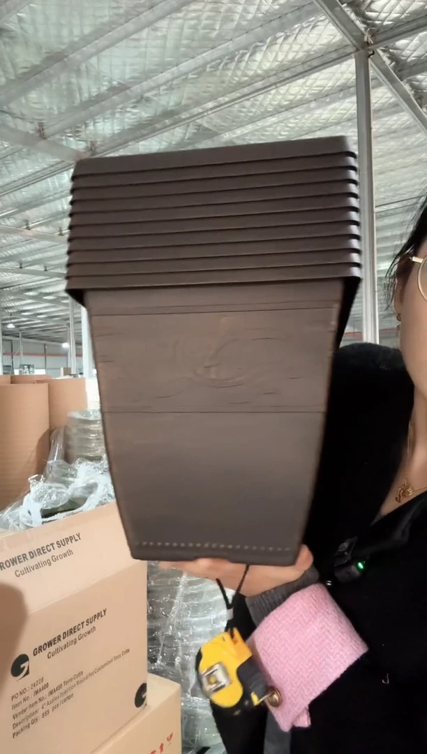 【闪购商品】塑料10寸#3006咖色10只装