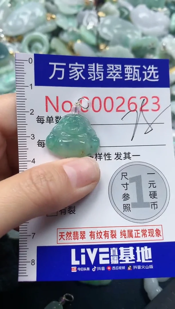 吊坠(不含链)未镶嵌翡翠2623