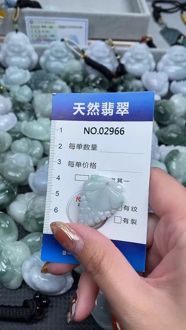 颈饰未镶嵌翡翠纯天然A货翡翠2966