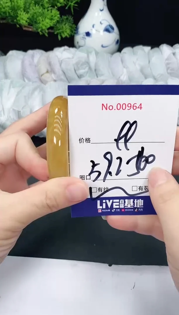 未镶嵌手镯翡翠964