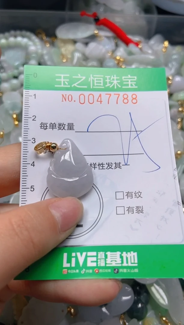 【闪购商品】翡翠颈饰未镶嵌闪购0047788