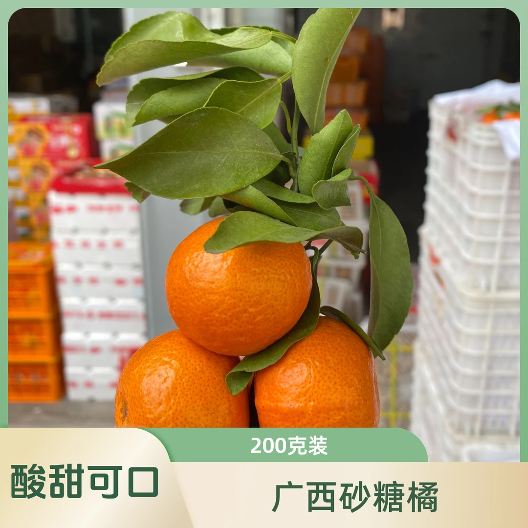 广西砂糖橘200g