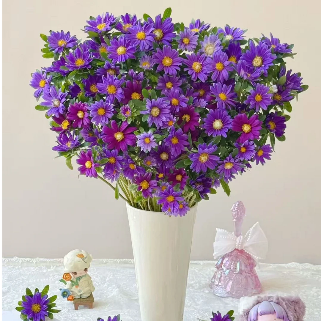 【一单不售后|迷你菊】花期长  新手友好  鲜切花