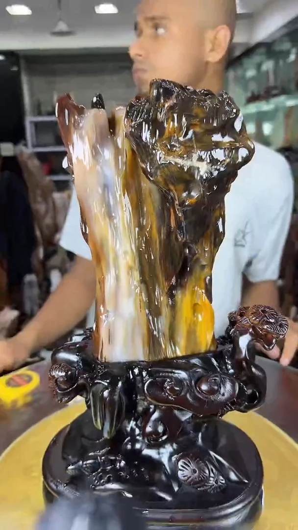 硅化玉珠宝奇石未镶嵌缅甸天然树化玉