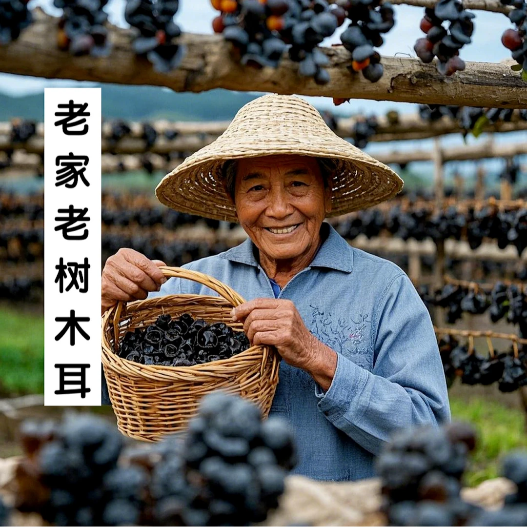 【老树木耳】肉质饱满 健康美味 熬汤火锅香鲜