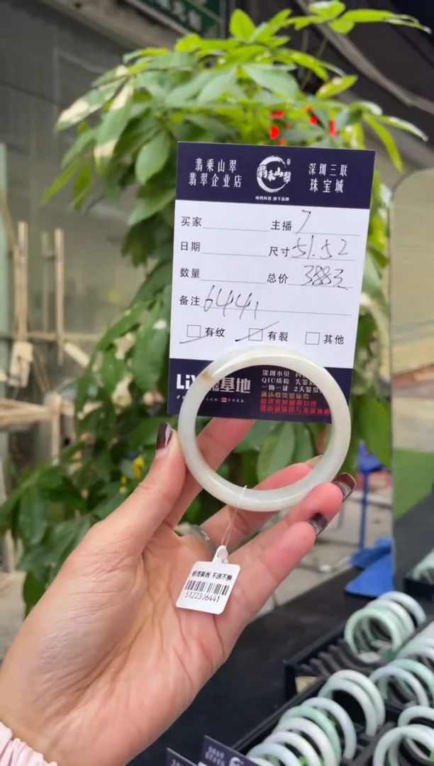 未镶嵌手镯翡翠Q 51-52正圈 6441