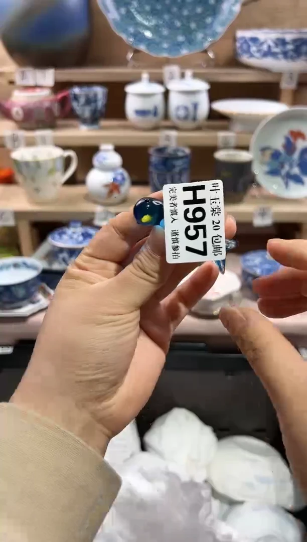 瓷片            E957