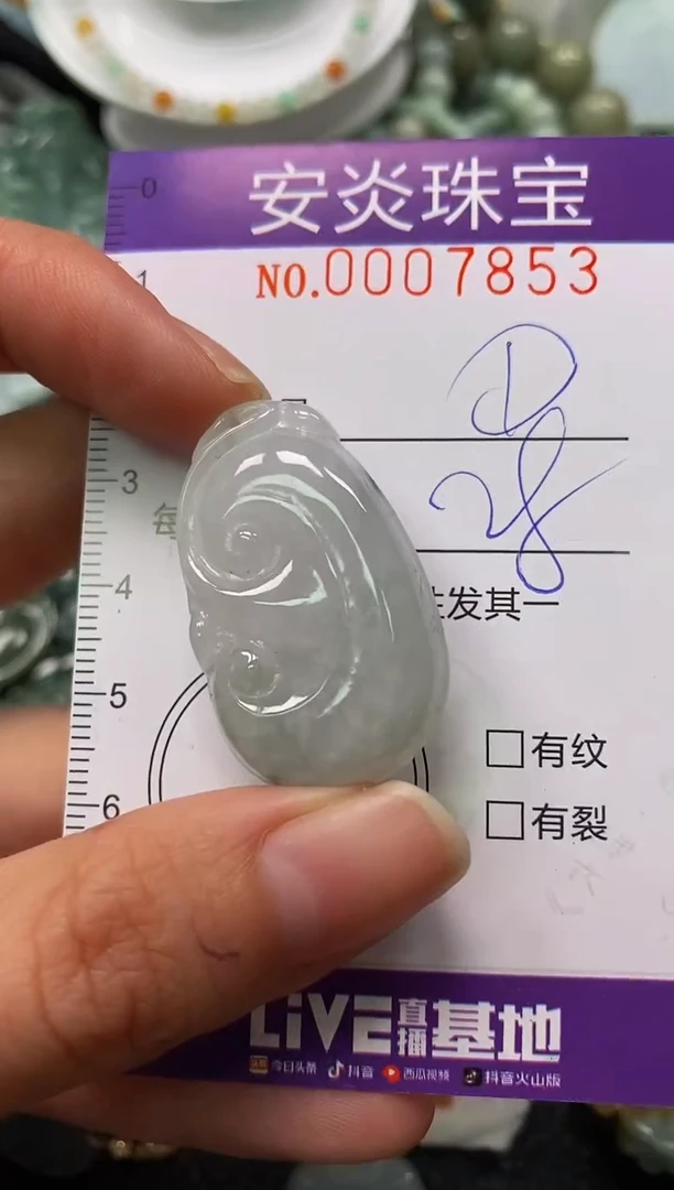 颈饰未镶嵌翡翠闪购0007853