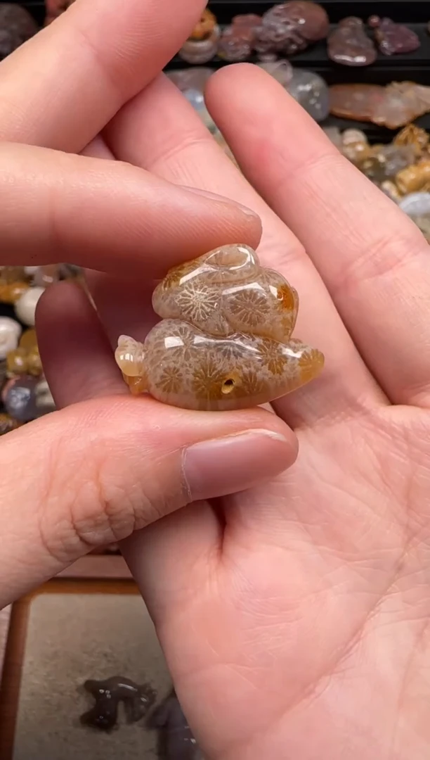 硅化珊瑚（珊瑚玉）未镶嵌颈饰555