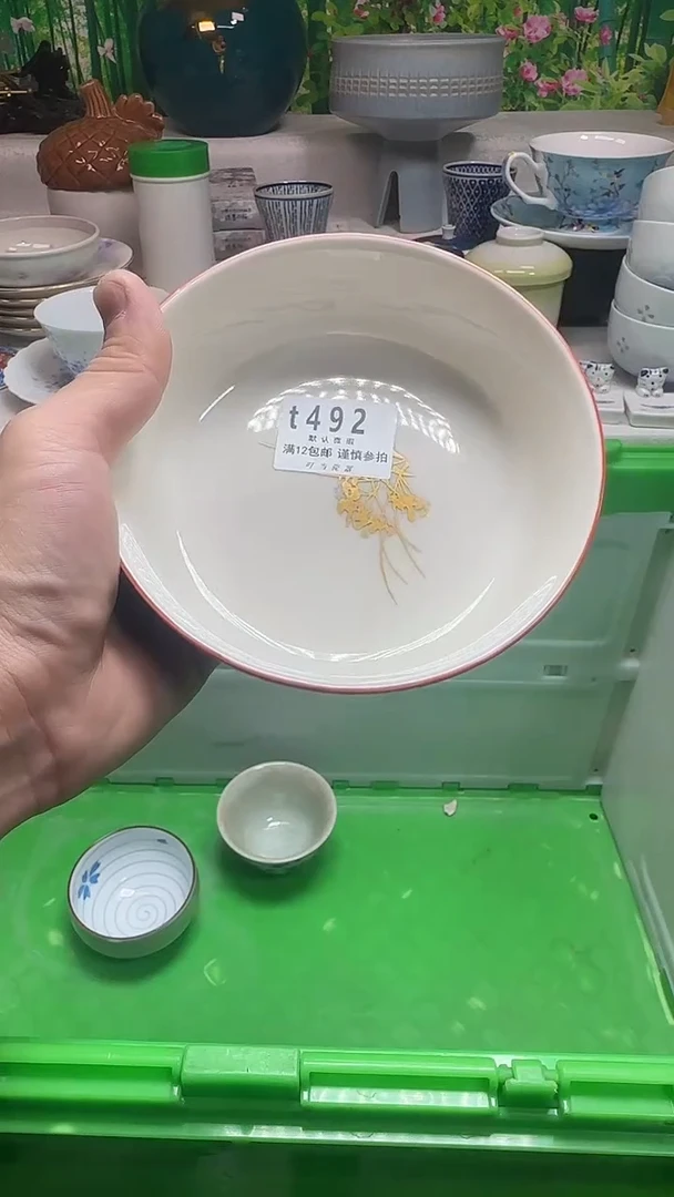 瓷片海*492rrrrrrrrrr