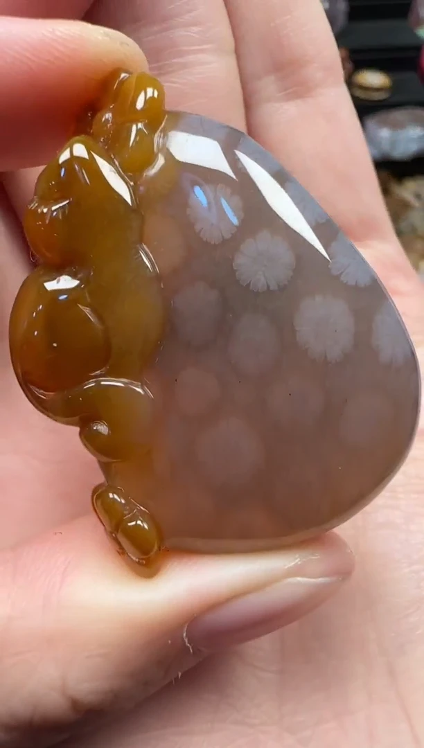 颈饰未镶嵌硅化珊瑚（珊瑚玉）812