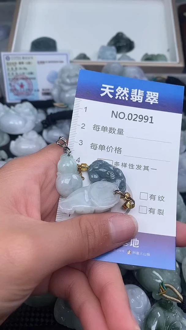 颈饰未镶嵌翡翠纯天然A货翡翠2991