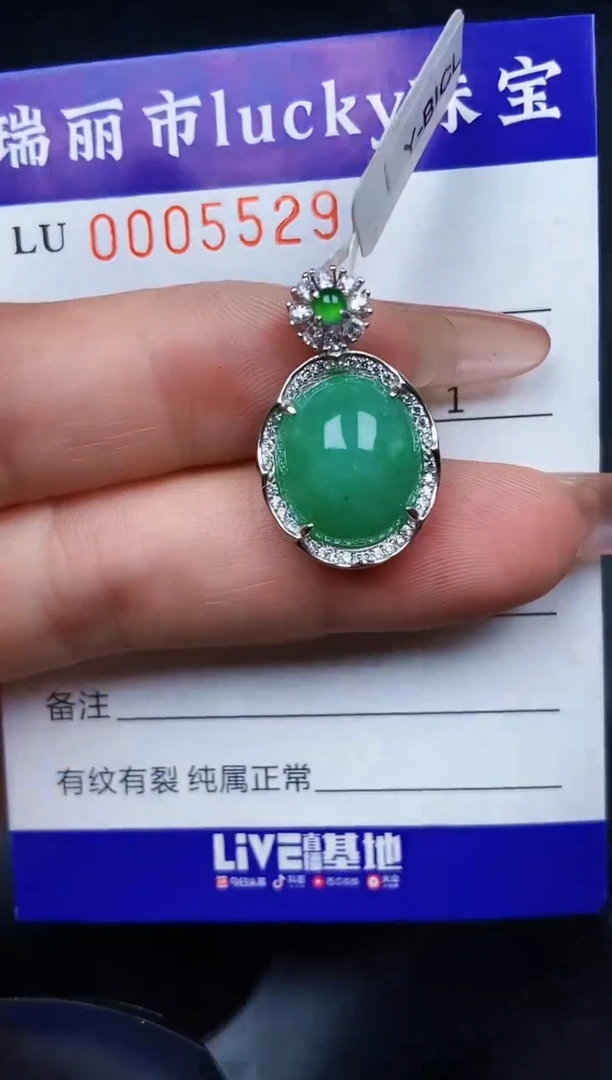 翡翠银S925镶嵌颈饰5529