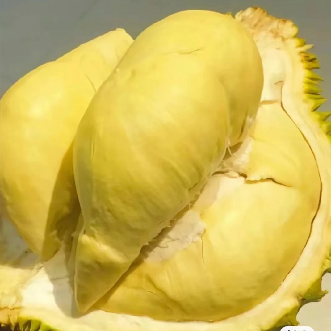 泰国金枕皇家空运榴莲肉多核小（偏奶皮）