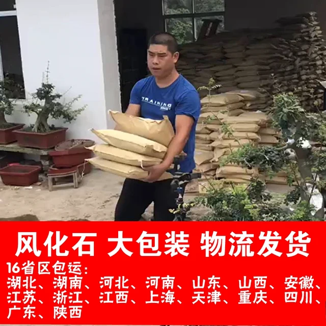 种盆景养桩风化石颗粒土营养风化土大包装、金弹子、松树颗粒土