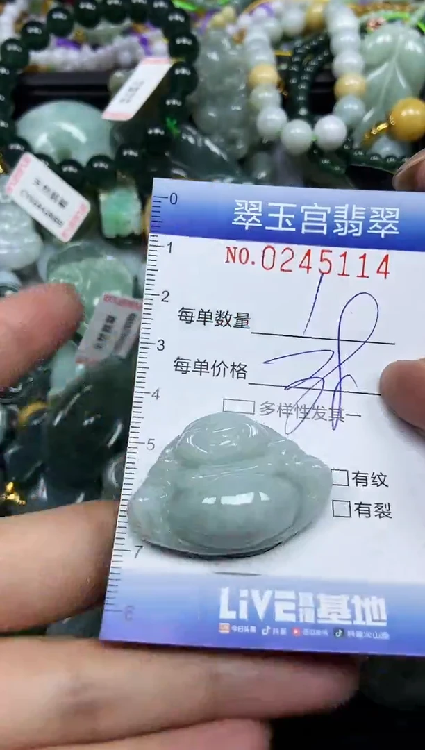 颈饰未镶嵌翡翠闪购C0245114