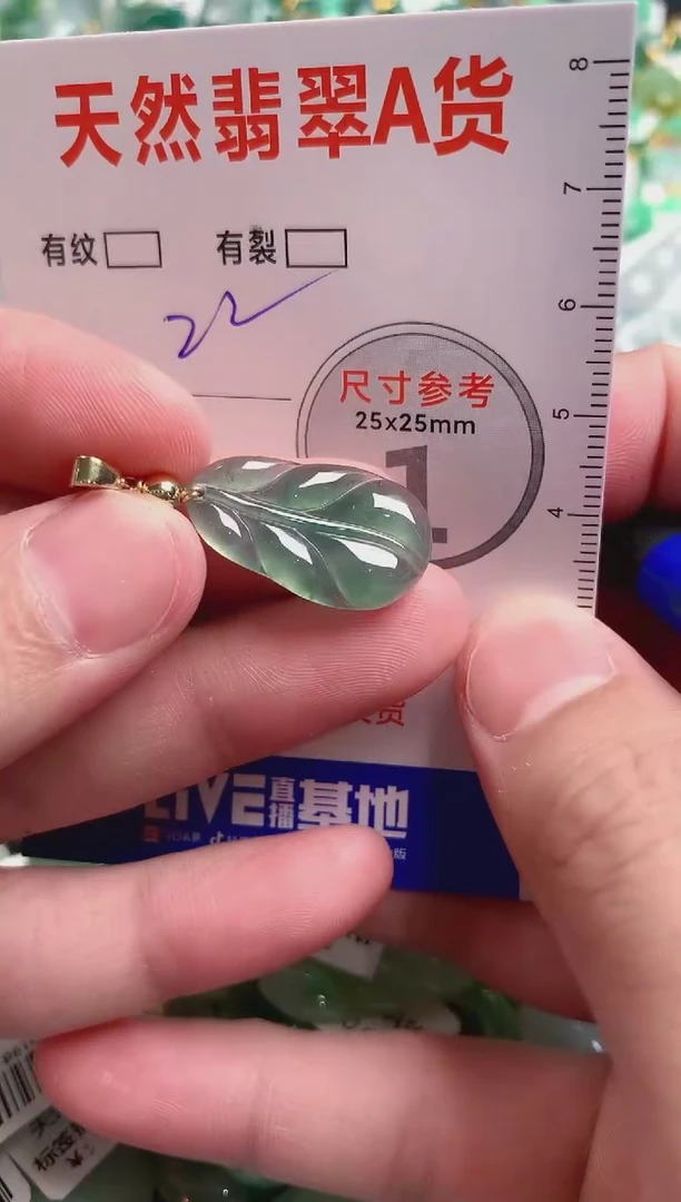 翡翠未镶嵌颈饰24000723