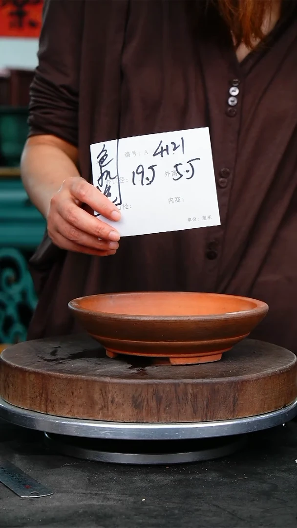 紫砂花盆花卉园艺4121
