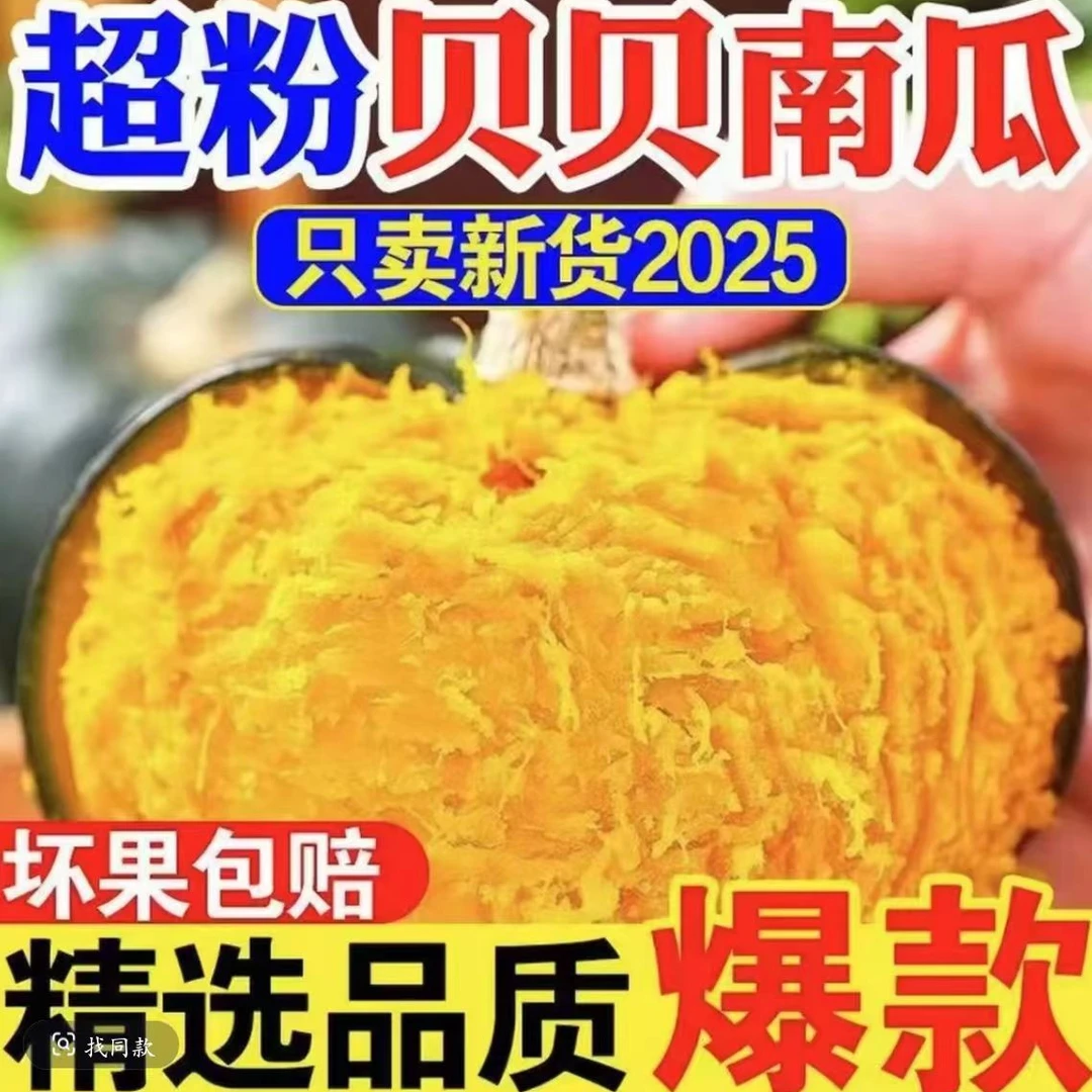 W5[助农乡村】正宗贝贝南瓜板栗味粉糯香甜小南瓜代餐粗粮9999+