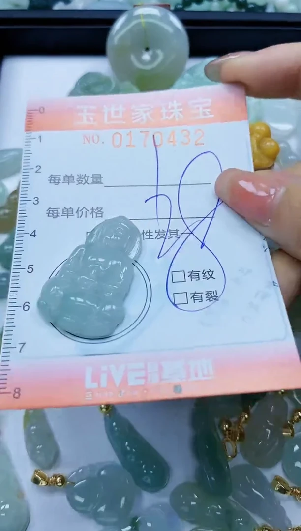 【闪购商品】翡翠颈饰未镶嵌闪购0170432