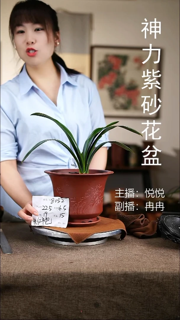 紫砂花盆紫砂花盆8052+z