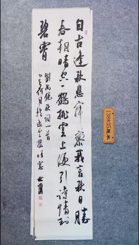 书法115中书协 杜潇书法放漏