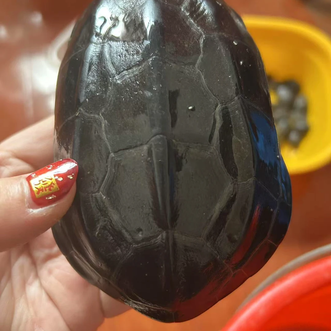 伊雯【除夕夜】苏北金线草【墨龟】