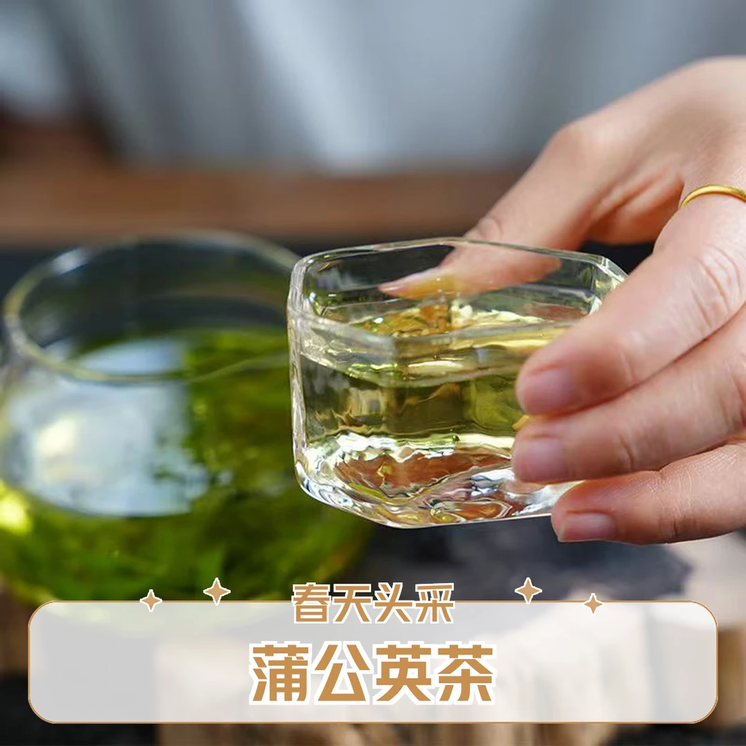 益鸿禧 春季蒲公英叶茶新茶清新清香手工严选熬夜大份量泡水清凉