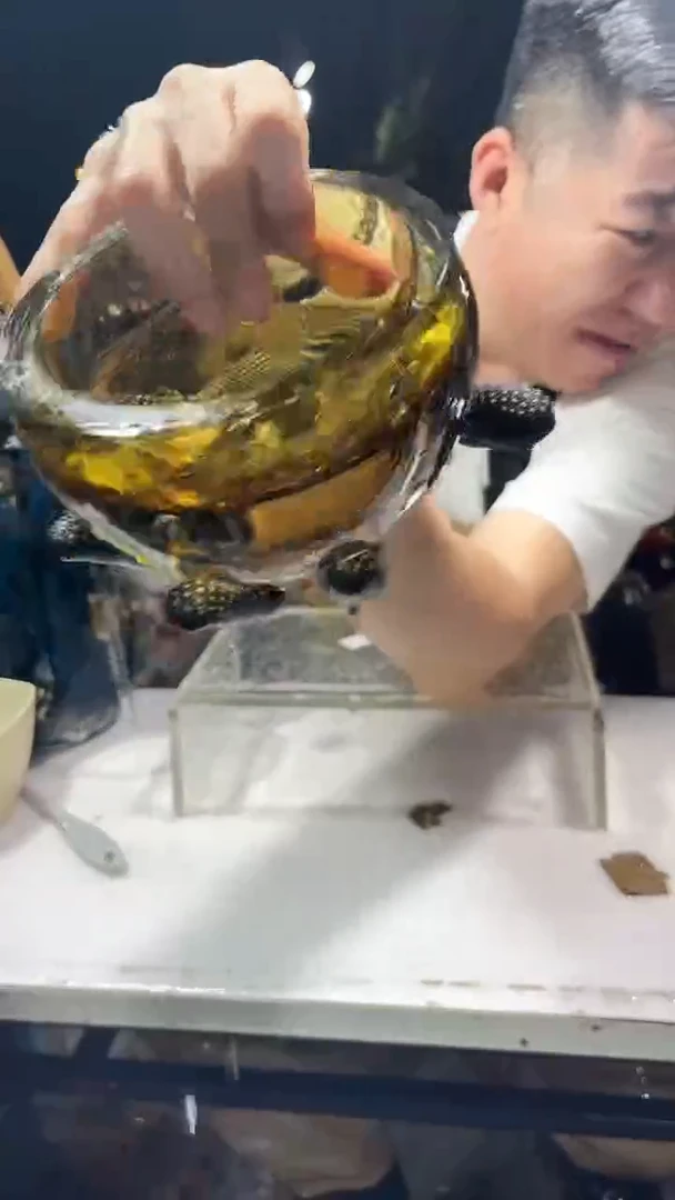 外贸花瓶花瓶花瓶QQ-327