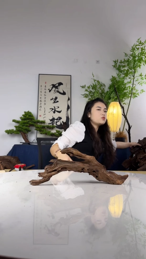 弓*拍这个定向编号12