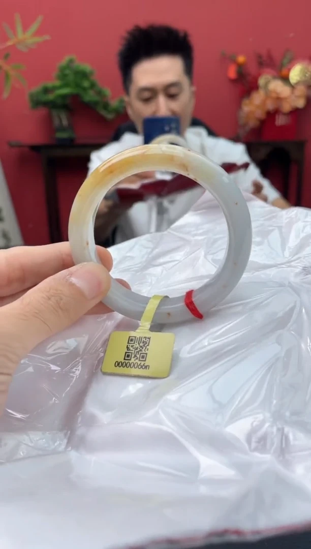 未镶嵌手镯翡翠4