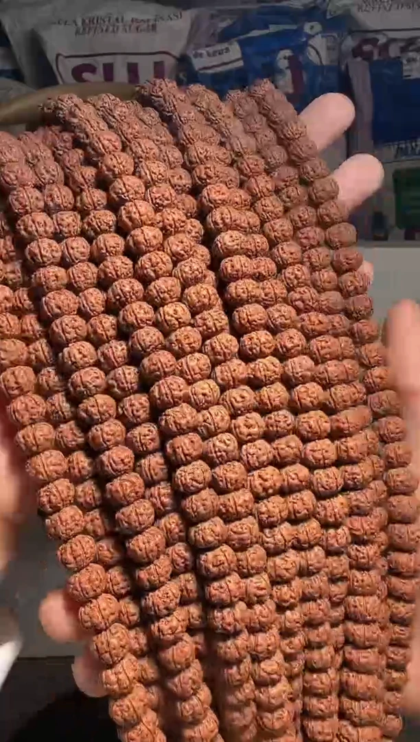 手串金刚菩提无利润超头精挑老树王108-10mm