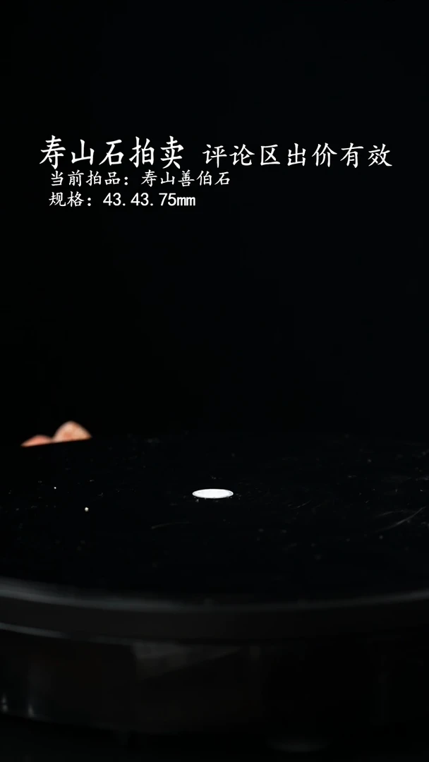 寿山石一**尘寿山善伯石
