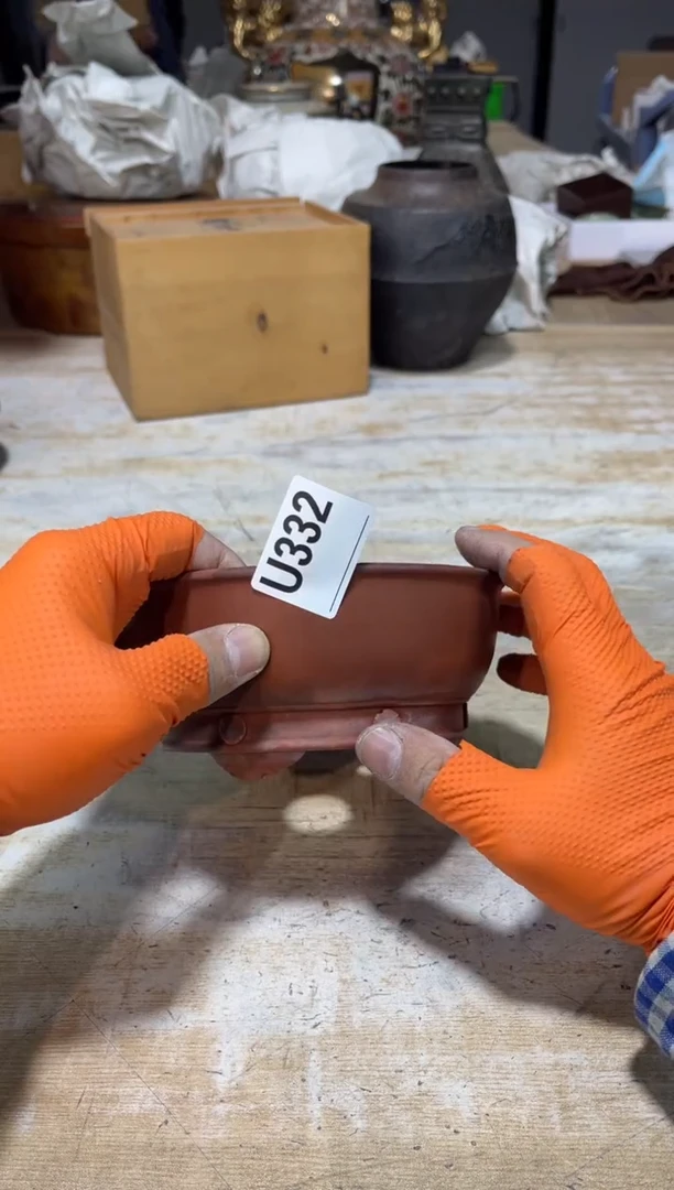 直播定闪专用链接h*z直播定闪专用链接