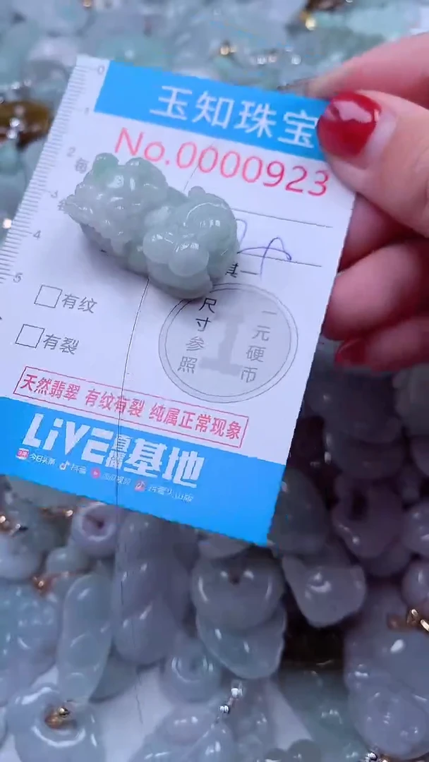 吊坠(不含链)未镶嵌翡翠923