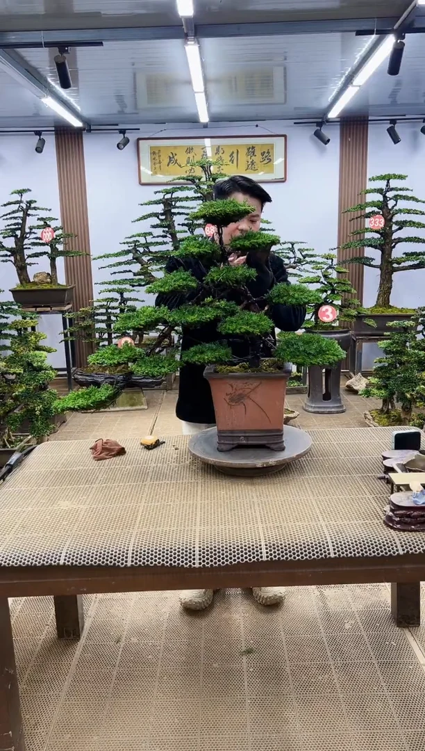 【闪购商品】000000000