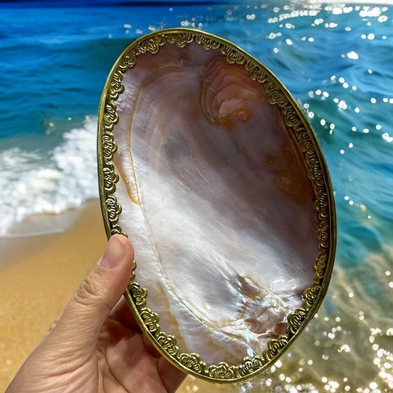 紫贝壳精美金色全包边原材果盘深海贝壳手工盘子