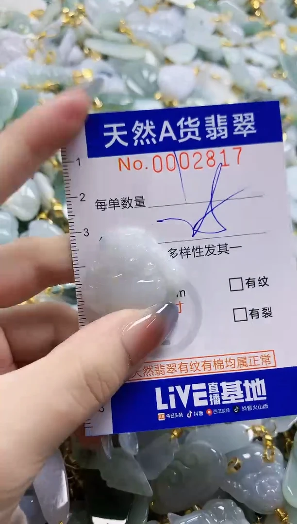 颈饰未镶嵌翡翠纯天然a货翡翠