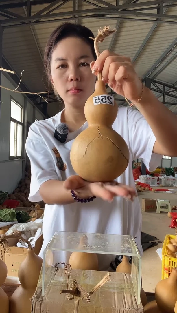 255天然葫芦摆件 一物一拍龙头不保售后