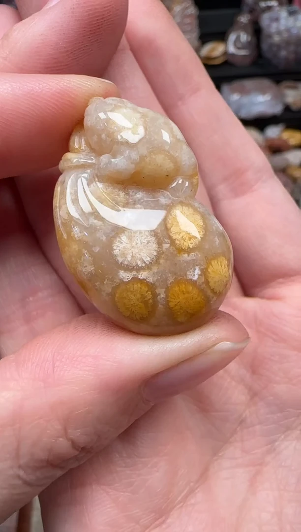 颈饰未镶嵌硅化珊瑚（珊瑚玉）230