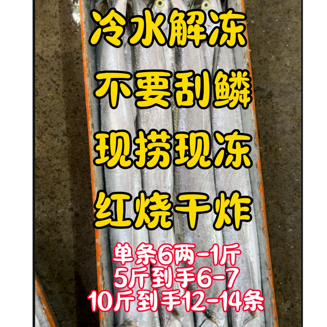 广东青章大带鱼黄边大带鱼现捞现冻油脂丰富香嫩鲜甜京东冷链