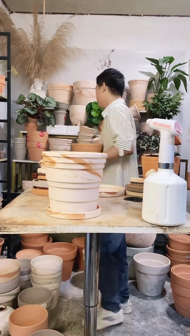 20*18玛奇朵竹节 1盆1托