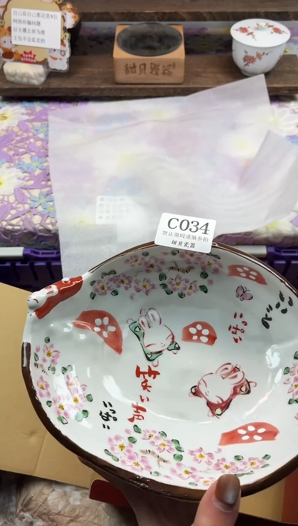 瓷片                     C034