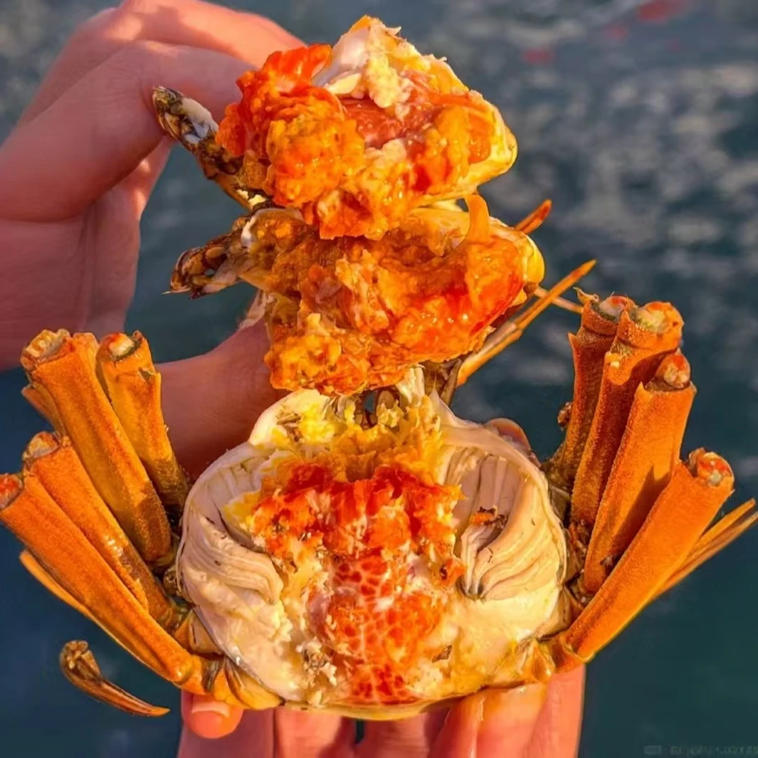 【活蟹】盘锦河蟹公母混合 母蟹（1.6-1.3两）5只 公蟹（2.0-1.8两）5只