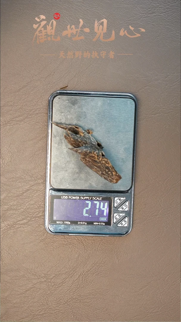 沉香沉香碎屑菩萨棋壳料 2.73g