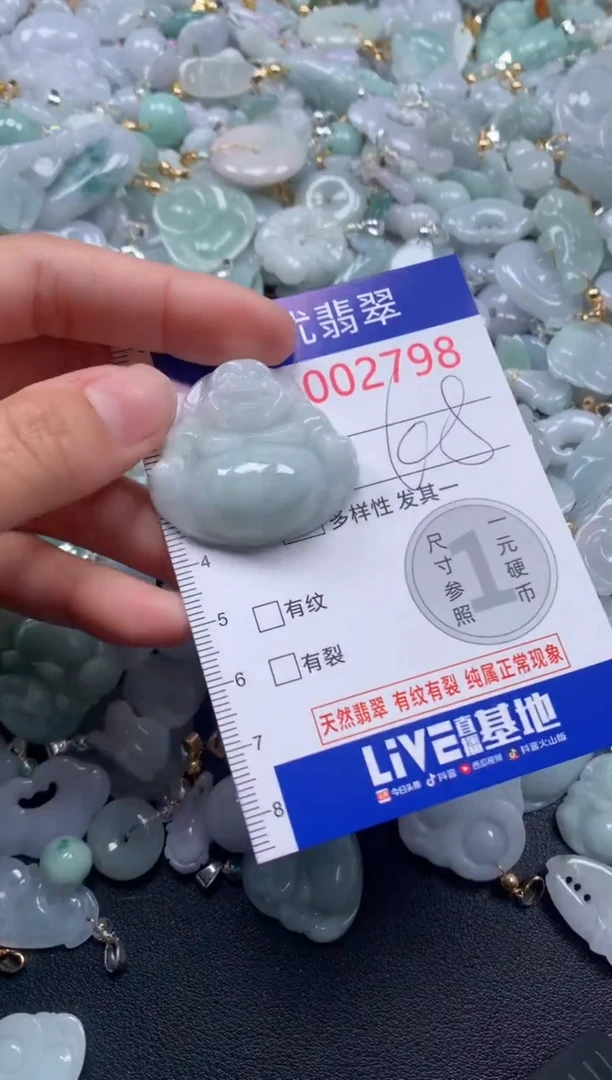 颈饰未镶嵌翡翠2798