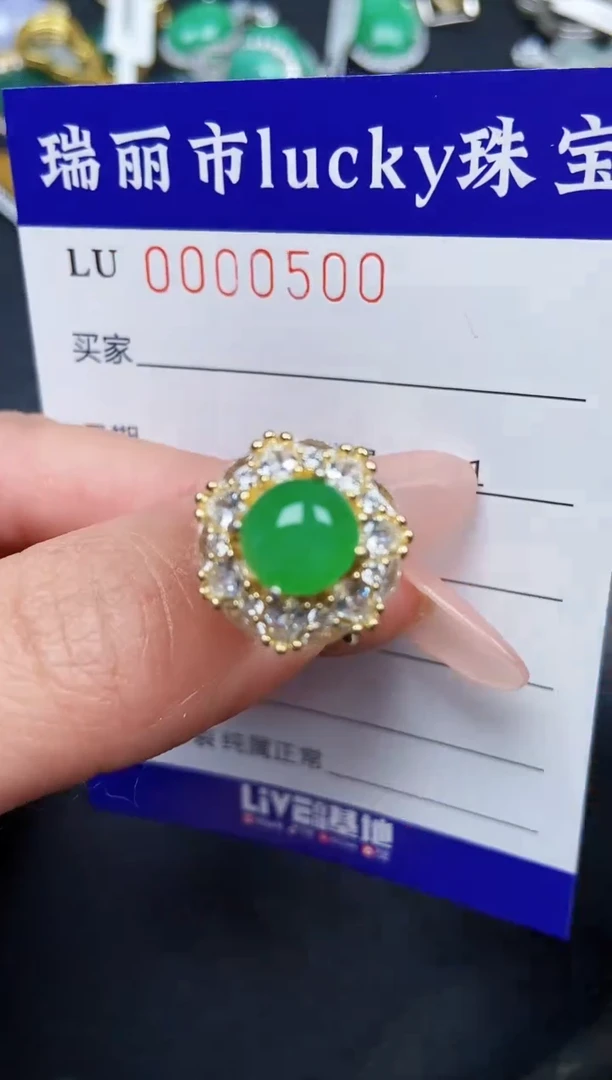 【闪购商品】翡翠颈饰银S925镶嵌0500